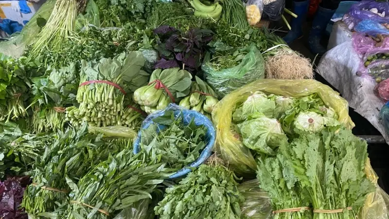 Tăng nguồn cung để bình ổn thị trường rau xanh